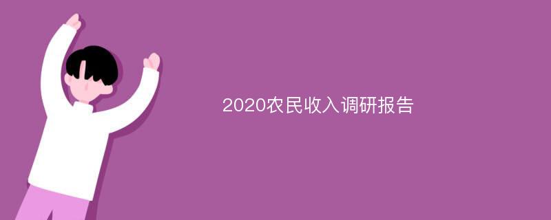 2020农民收入调研报告