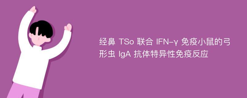 经鼻 TSo 联合 IFN-γ 免疫小鼠的弓形虫 IgA 抗体特异性免疫反应